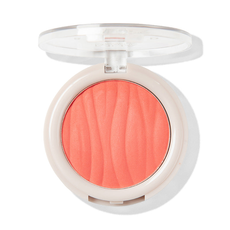 a close up of a blush
