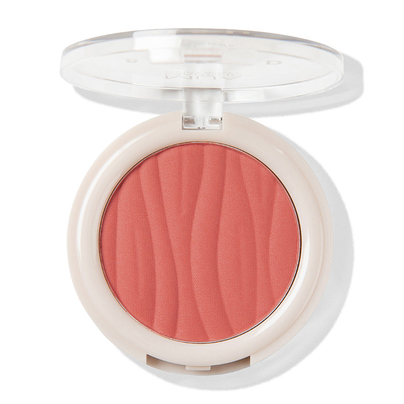 a close up of a blush