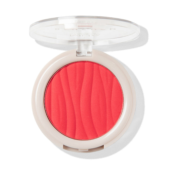 a close up of a blush